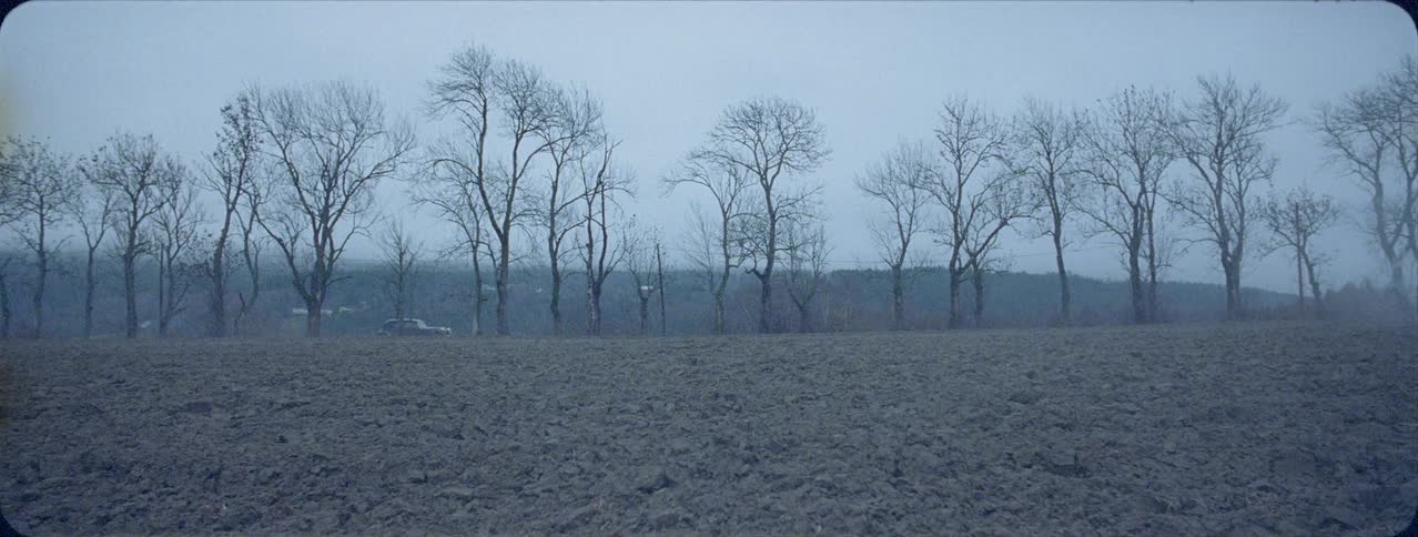 Tilled earth on a foggy day