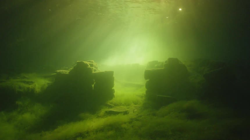 Sun rays shine through murky water