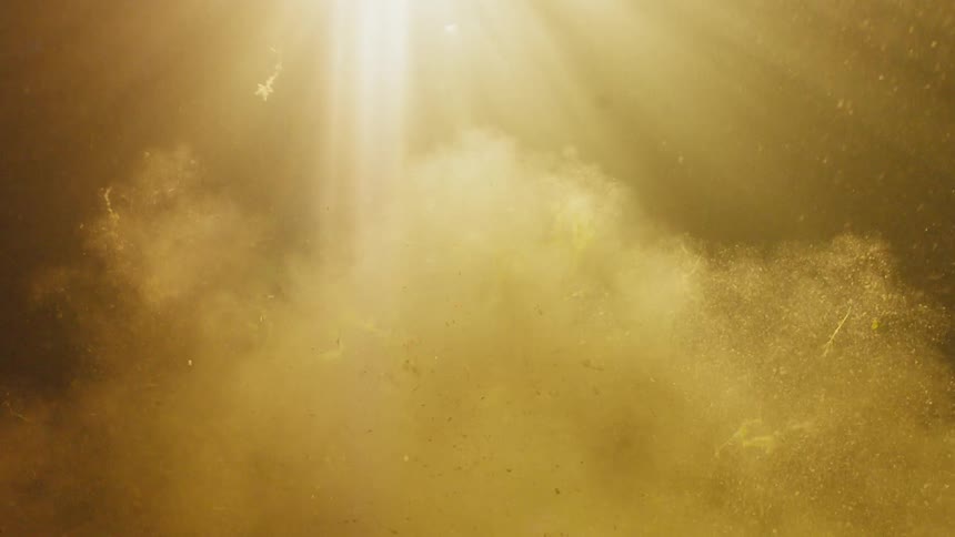 Light passes into turbulent water