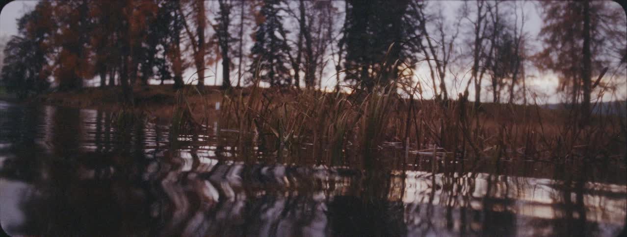 Water flows between the tall grass