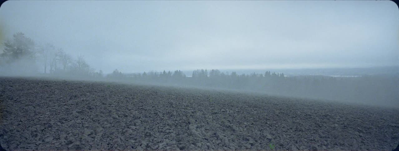 Dust blows over a rural field