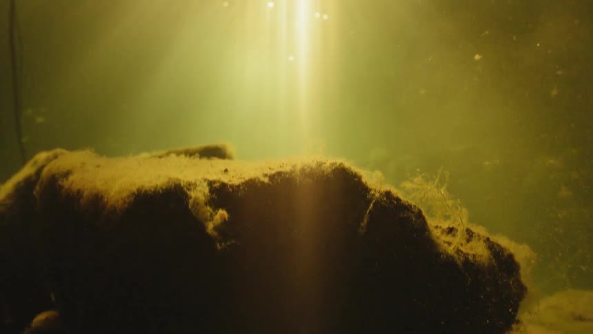 Light streams under water
