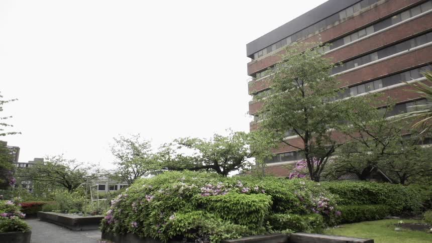 A garden is growing outside an office building in daylight