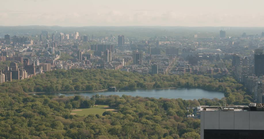 Lake in the center of an urban park