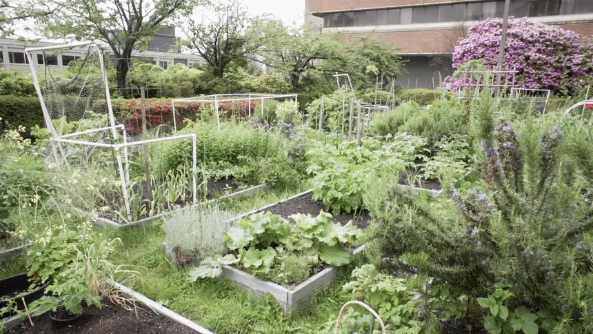 Small garden next to a large brown building