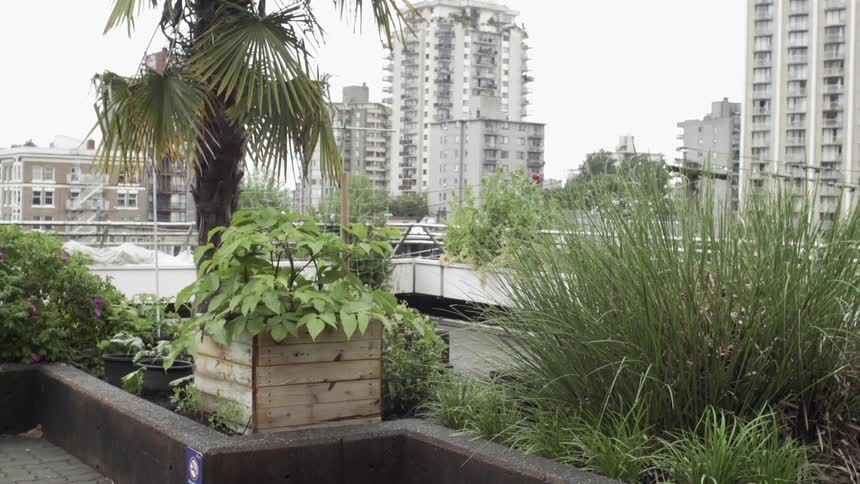 Urban Rooftop Garden