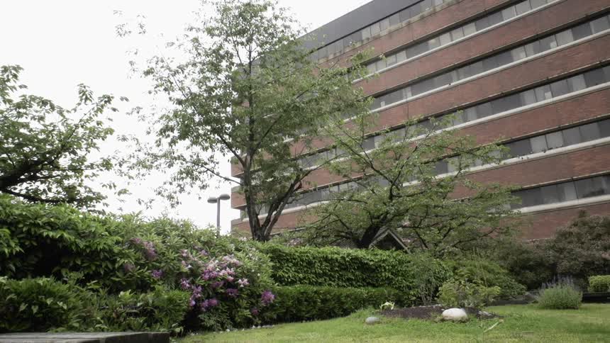 The yard in front of the building has purple flowers
