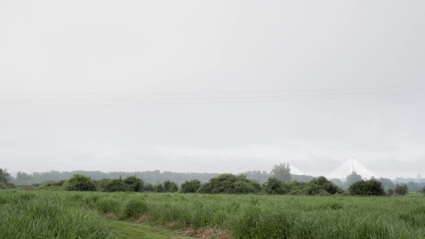 Fog in the distance and some rolling hills of grass