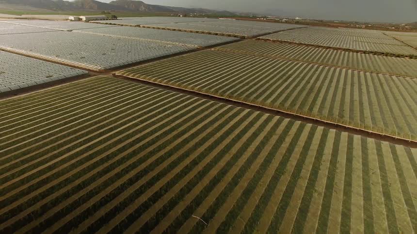 The farm has neatly worked fields