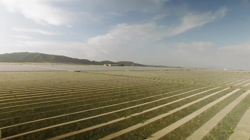 The farm is covered with many hills