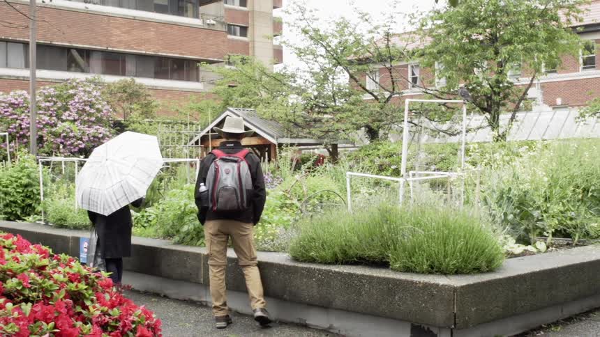 A man and woman stop to look at a community garden