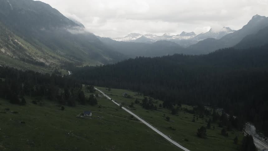 The road is empty by the forest below