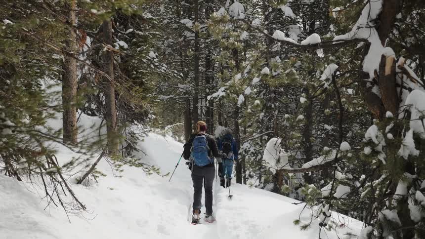 People walk through the snow past the trees