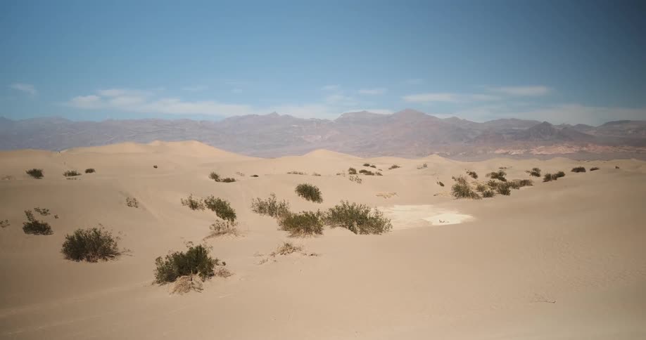 Desert sand dunes landscape