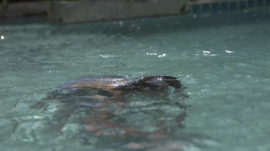A child dunks down under the water