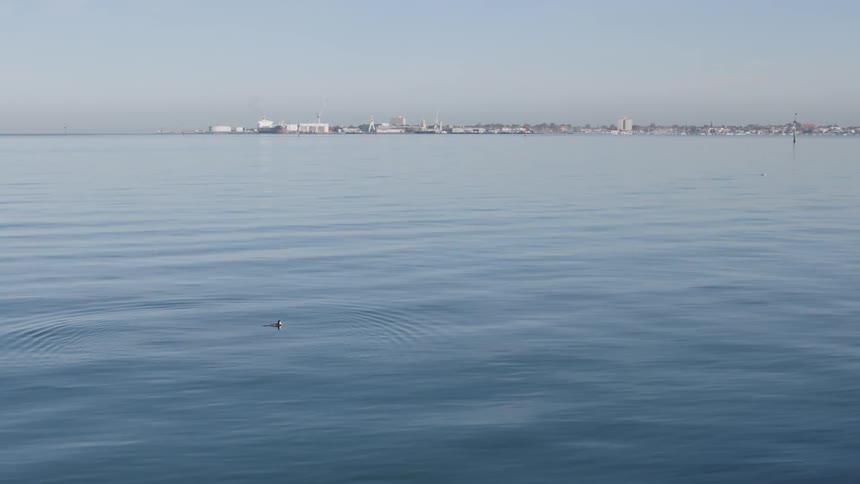 The water is calm on a sunny day