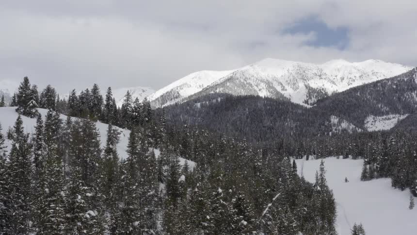 Snow covered trees on top of mountains