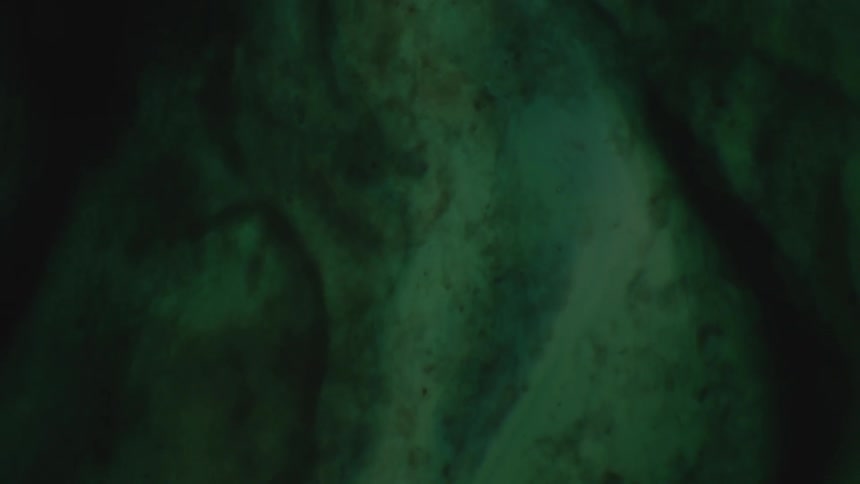 Black and green liquid swirling around