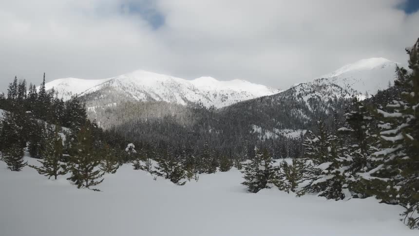 Snow covered mountain and forest on a cloudy day