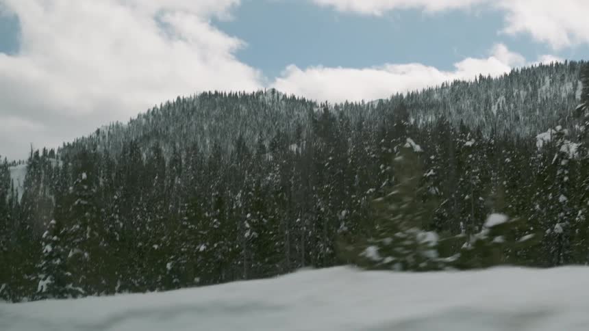 Friends Snowshoeing