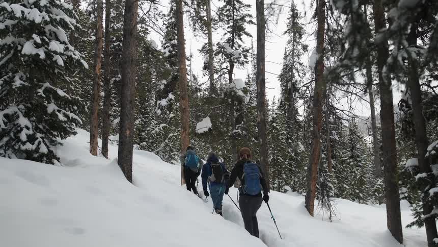 People walk uphill with snow shoes in the snow