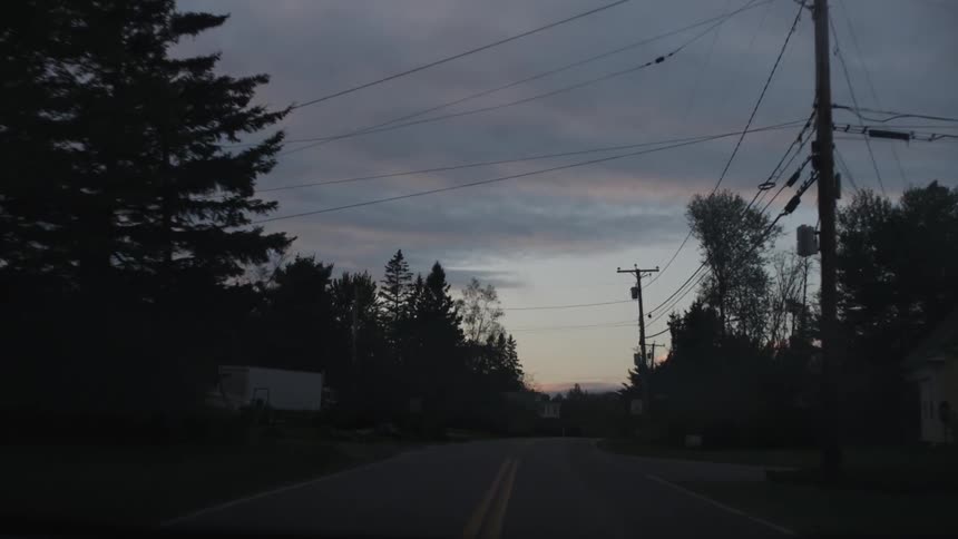 Driving down a tree-lined road on a cloudy evening
