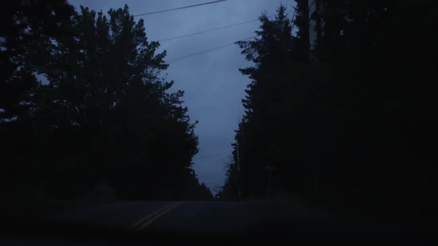 Driving down a tree-lined road