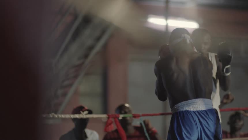 A crowd cheers at an outdoor boxing match