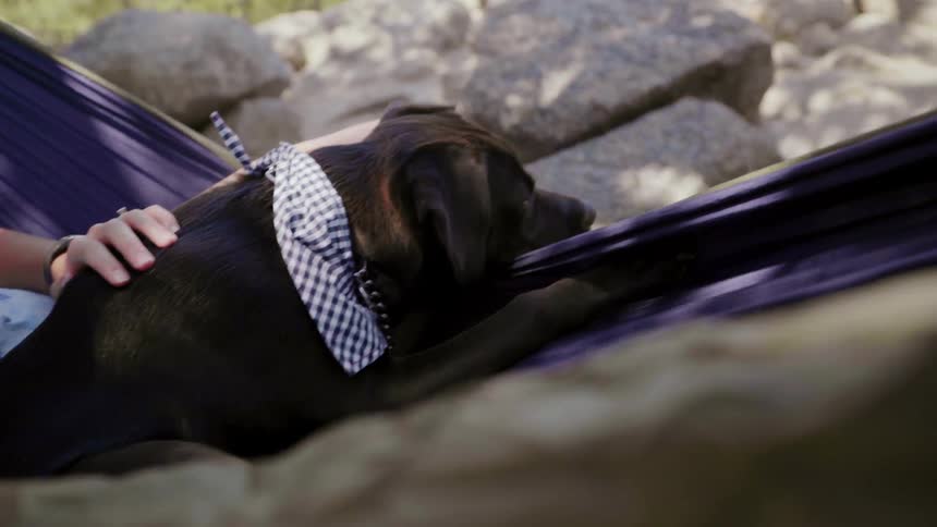 A woman and dog swing in a hammock