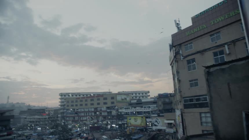 Birds soar over a parking lot in a city