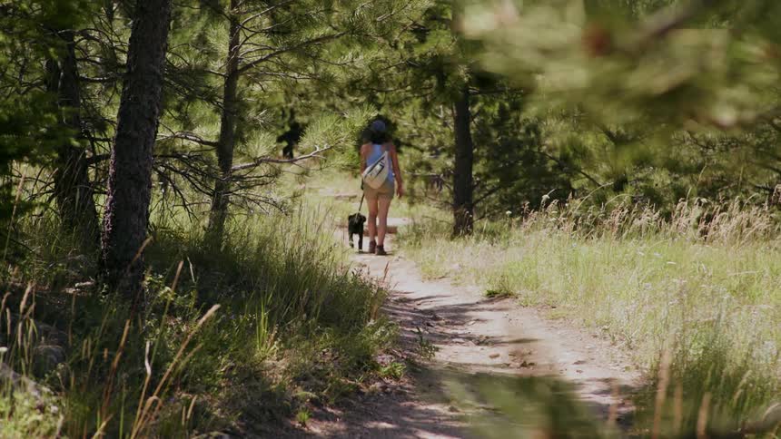 Woman walks a dog in a forest