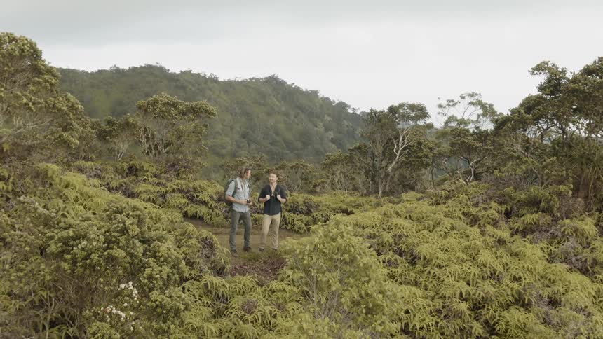 Two men stand on a hilltop sightseeing