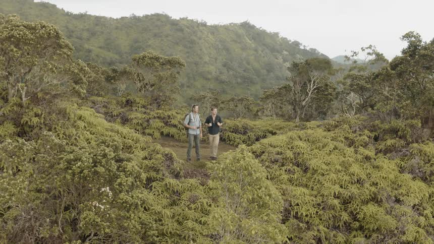 Two men walk on a path through tree covered hills and stop to look out