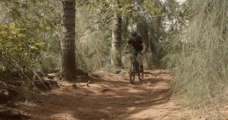 Man rides a bike down a dirt path in the woods on a sunny day
