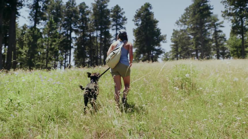 Woman Hammocking With Dog