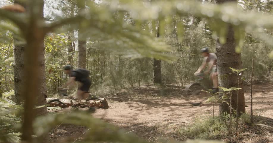Two men are riding mountain bikes on a trail in a forest in daylight
