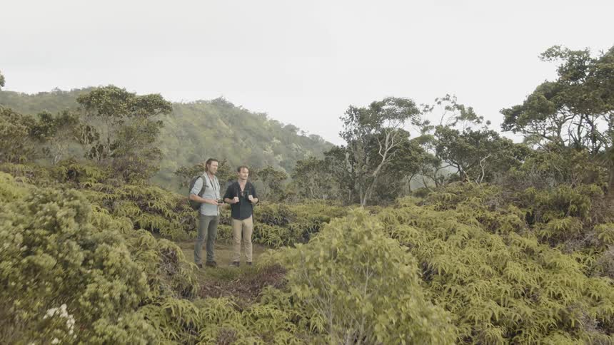 Two men stand on a hilltop sightseeing
