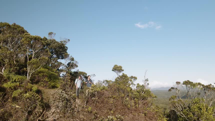 Hawaii Hiking