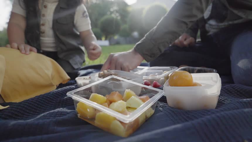 Fresh fruits and snacks in plastic containers served on a picnic blanket.