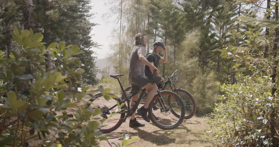 Two men bicycle in a forest