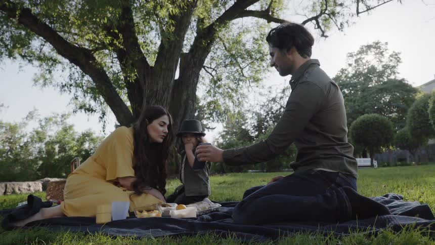 A family spending quality time together during an outdoor picnic in park.