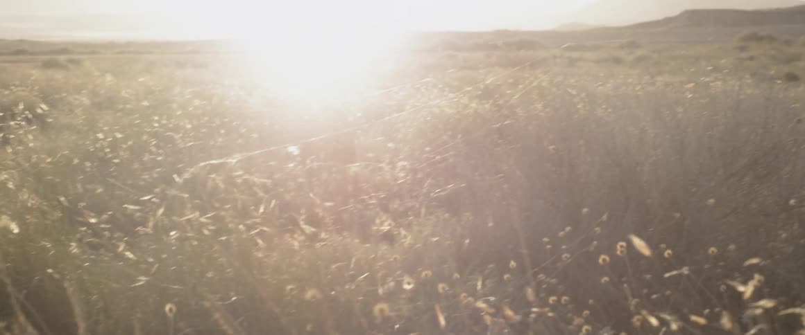The sun sets over a rural field