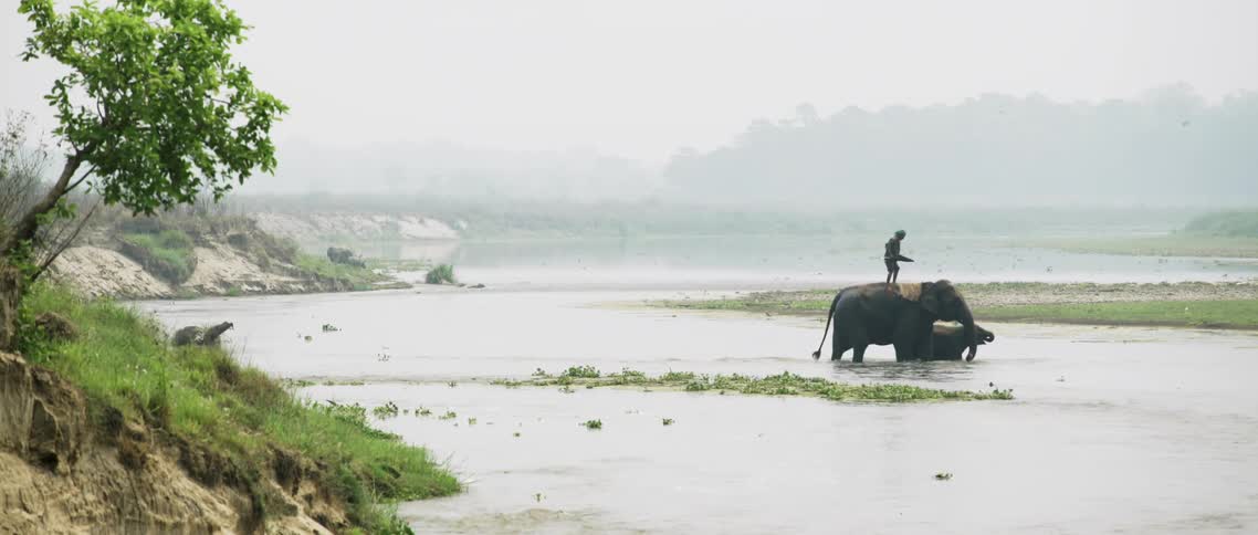 A man rides on an elephant across the water
