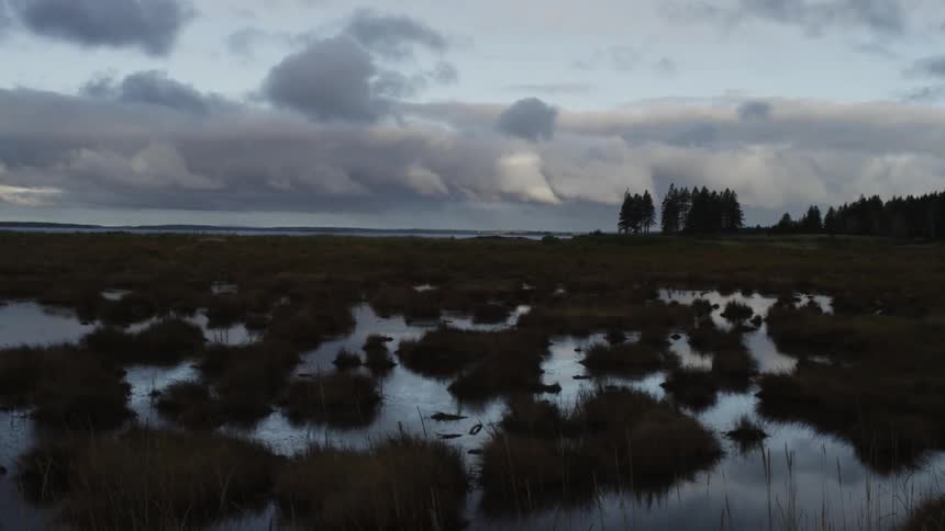 A cloudy marsh