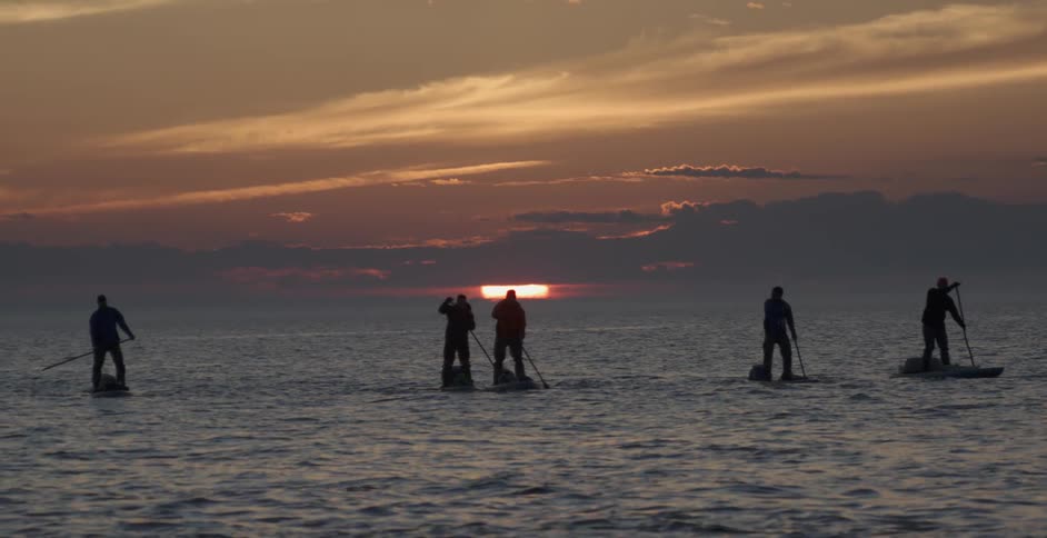 People paddle board on an ocean at sunset