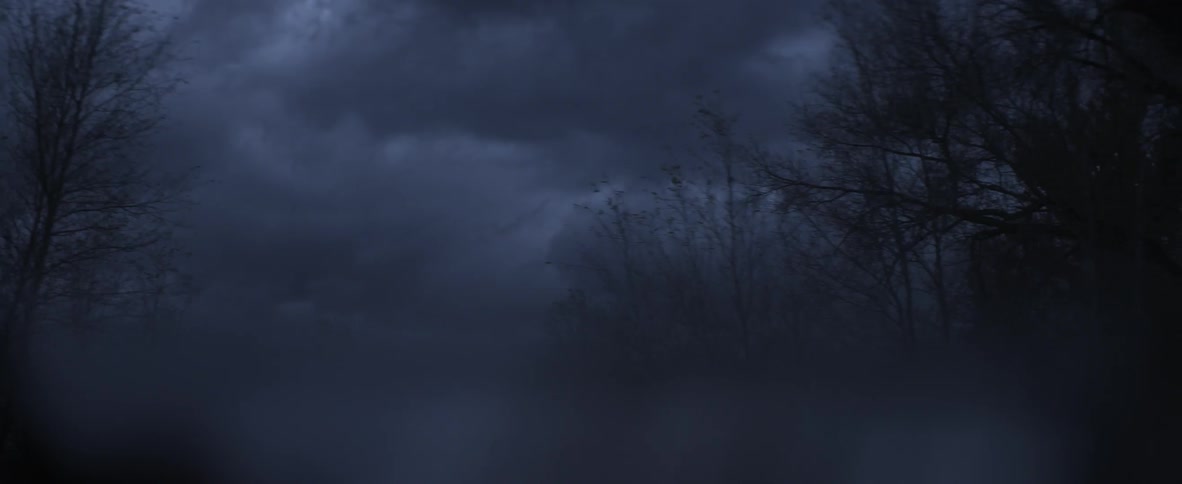 Driving pass mostly barren trees at dusk with dark and stormy clouds in the background