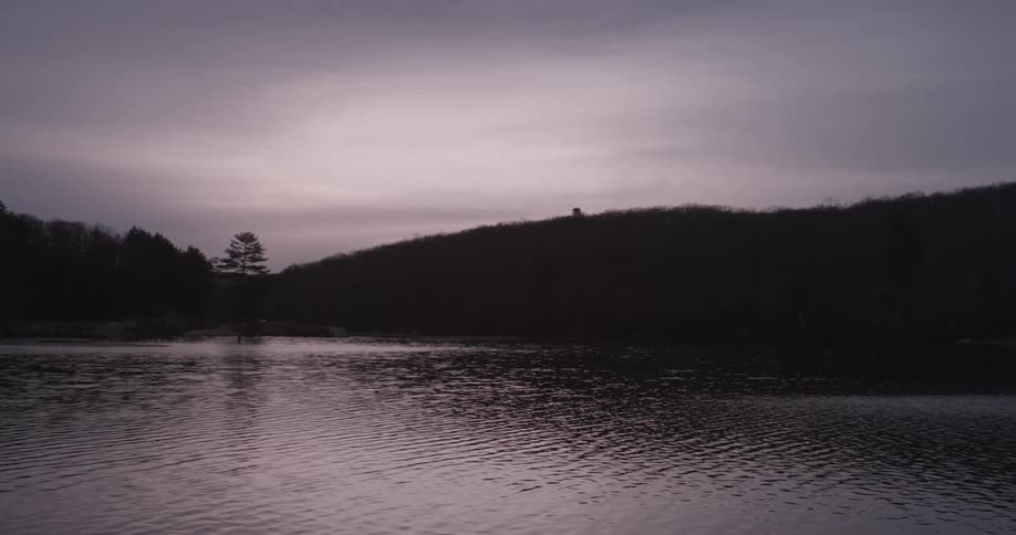 Early Morning Nature Scenics