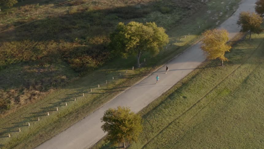 Runners jog on a rural road as birds fly overhead