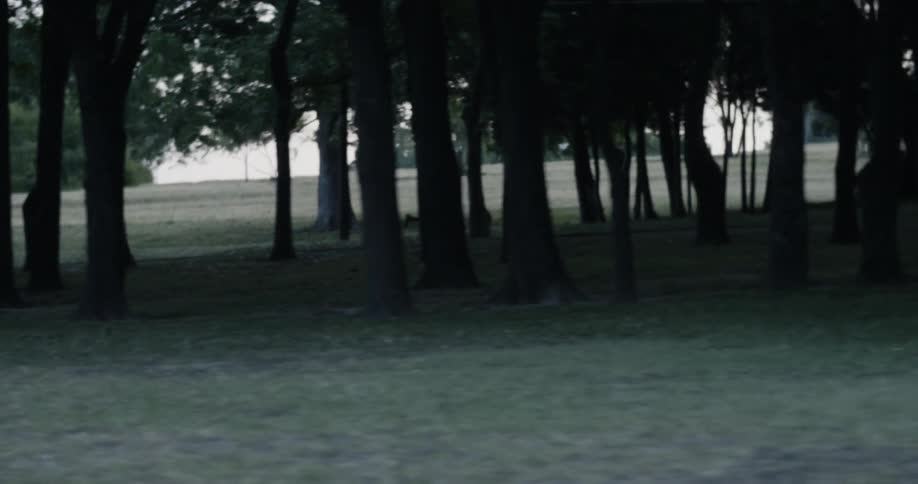 Man running through a park