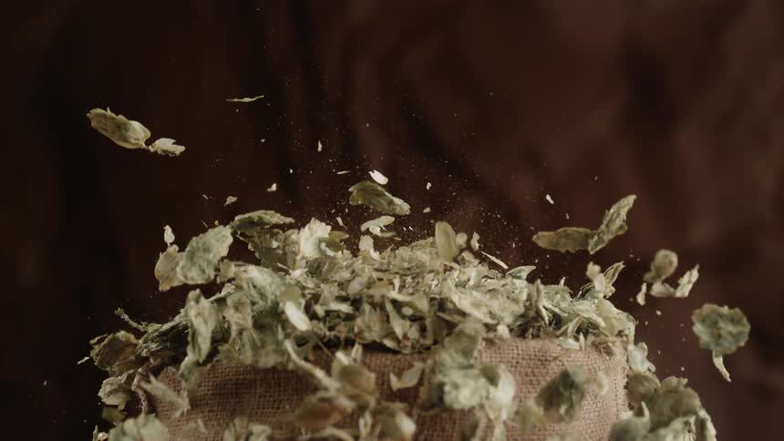 Beer hops flying out of sack